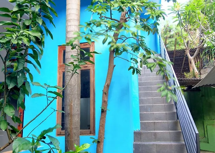Bamboo Paradise