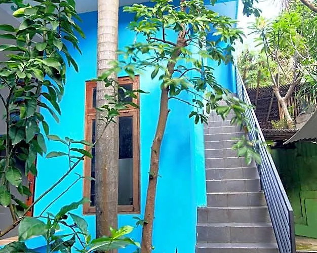 Bamboo Paradise